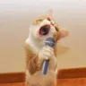 아망