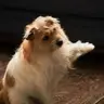 숭아 '◡'