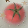 단씨