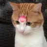 민돌이