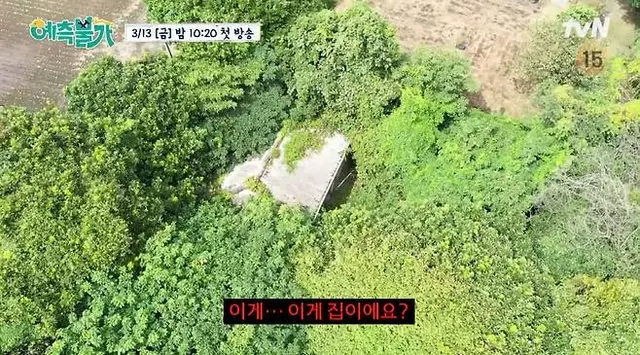 tvN 예측불가 진짜 골때림 ㅋㅋㅋㅋㅋ

숙이 언니가 잘 안풀릴때 귀향하려고 제주도에 집을 샀는데 그뒤 일이 잘되서 잊고있다 10년후에 그 집 공사하는 프로젝트를 시작했는데!!!
제주도 가보니 그냥 숲이 되어있음 

그래도 공사 신고하려고 했더니 문화유산임 고치려면 전문가랑 함께 문화재청 허가 받아야함 그 전문가 제주도에 1명 계심 

겨우겨우 신청해서 조건부 승인 받고 다시 수정하고 승인받으니까 거기 시굴 조사 해야한대 ㅋㅋㅋㅋ 

진짜 숙이언니 무슨집을 사신거예요....