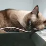 둥둥