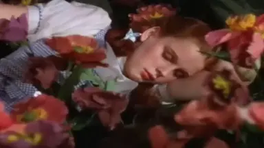 위키드 본 사람들 볼 사람들 오즈의마법사 안 봤으면 꼭 봤으면 좋겠다 제목부터 자전거, 바구니 안 아기사자, 엘파바마법+파피꽃 때문에 잠들어버린 학생들, 마법사 만나기 전 새단장하는 엘피 글린다 등 이스터에그? 오마주? 찾는 재미가 있는데...