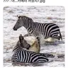 참지 않아
