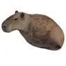 감피바라
