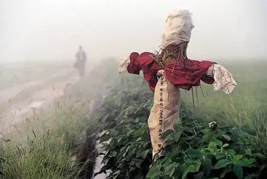 아니 아무리 생각해도 '허수아비' 라는 거 너무 무서움... 숨을 곳 없는 넓은 들판에 허수아비인 척 있다가 범행 대상이 지나가면 움직이는 거 ㅅㅂ 사실 이 허수아비 실제 사건 경찰들이 범인 잡으려고 세워둔 거였는데