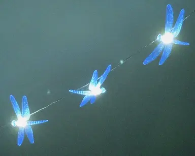 코렐라인 다시 봤는데 영상미가 미쳤음.... 색감이 너무 예뻐서 보면셔 진짜 어떻게 만든걸까 생각함... 이런 다크판타지 영화 최고다〰️