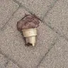 김누누