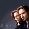 Mulder