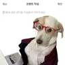 돌맹이