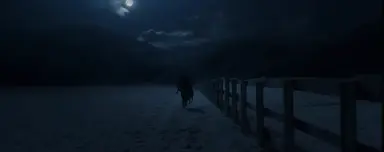 레지던트이블 주인공=나인 1인칭 시점처럼 진행되는데 그래서 라쿤시티 도심으로 들어가기전 초반부에 설원에서 진행된 모든시퀀스가 내취향임  진짜 온통 황량하고 연락망은 다 끊겼고 차는 고장나서 완전 고립됐는데 저멀리 집 한 채가 보여..  너무전형적인 죽음클리셰인데 뭐어떡해 가야지;;