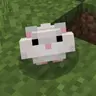 물보기