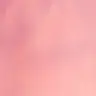 fin