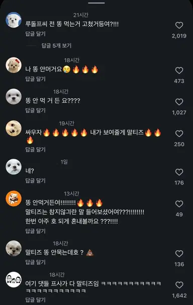 유미의 세포들 신순록 “말티즈 똥도 먹지 않나요?” 발언에 릴스 댓글에 말티즈 견주들 모인 거ㅋㅋㅋㅋㅋㅋㅋ 김재원 인스스에 "전국에 계신 말티즈 견주 분들께 죄송합니다" 사과한 거 ㅈㄴ 웃김ㅋㅋㅋㅋㅋㅋㅋㅋ