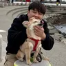 해요
