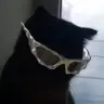 🌊