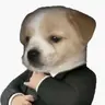 빠삭