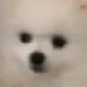 오예