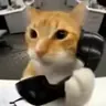 mato