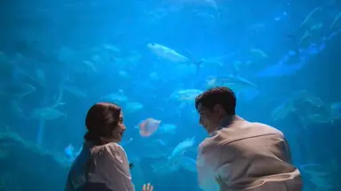 엄마는 블랙핑크 아빠는 서강준