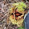 약속의땅