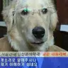 죄로