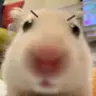 구뾰