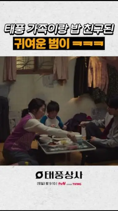 태풍 모자랑 겸상하는 범이😆 #태풍상사 다시보기 쇼츠