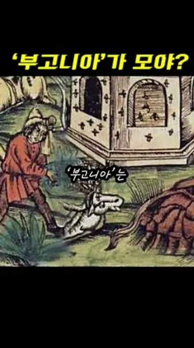 [지구를 지켜라] 리메이크작 [부고니아] 제목의 뜻과 요르고스 란티모스 감독이 직접 밝힌 제목의 의도 그리고 숨겨진 의미  #부고니아 #제목 #요르고스 란티모스 다시보기 쇼츠