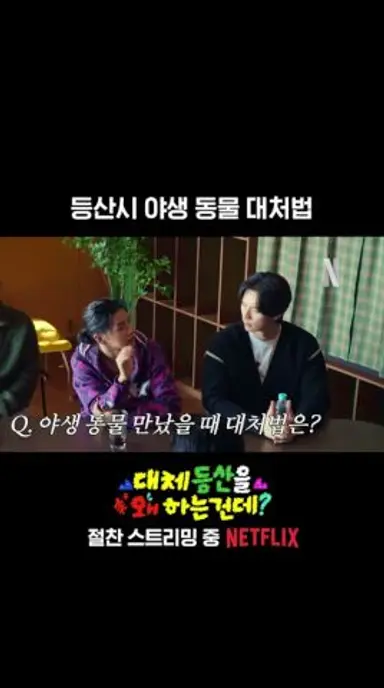 등산하다 야생동물을 만났을 때 | 대등왜? 다시보기 쇼츠