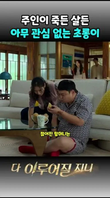 주인이 죽든 살든 관심 없는 초롱이 #다이루어질지니 다시보기 쇼츠