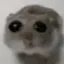 @chaenull3
