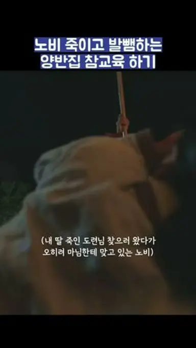 노비 죽이고 발뺌하는 양반집 참교육 하기 #shorts #옥씨부인전 #임지연 #추영우 다시보기 쇼츠