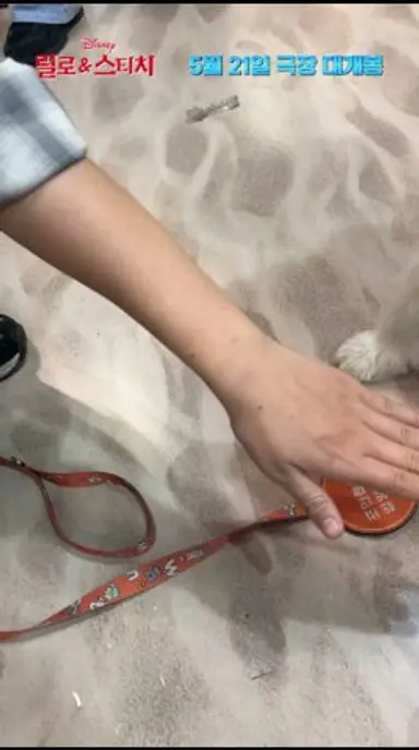 [릴로 & 스티치] 나도, 강아지도, 스티치도 모두 화이팅!🖐💙 다시보기 쇼츠