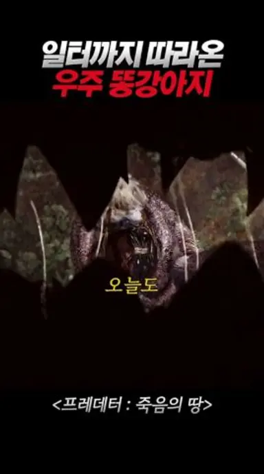 프레데터 일터까지 따라온 우주 똥강아지 버드! 다시보기 쇼츠