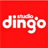 딩고 스튜디오 / dingo studio