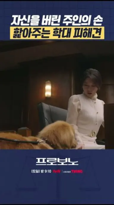 학대 당하고도 주인에게 다가가서 핥아주는 리트리버...🐶 #프로보노 다시보기 쇼츠