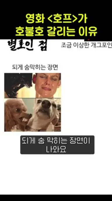 영화 호프가 호불호 끝판왕인 이유 다시보기 쇼츠