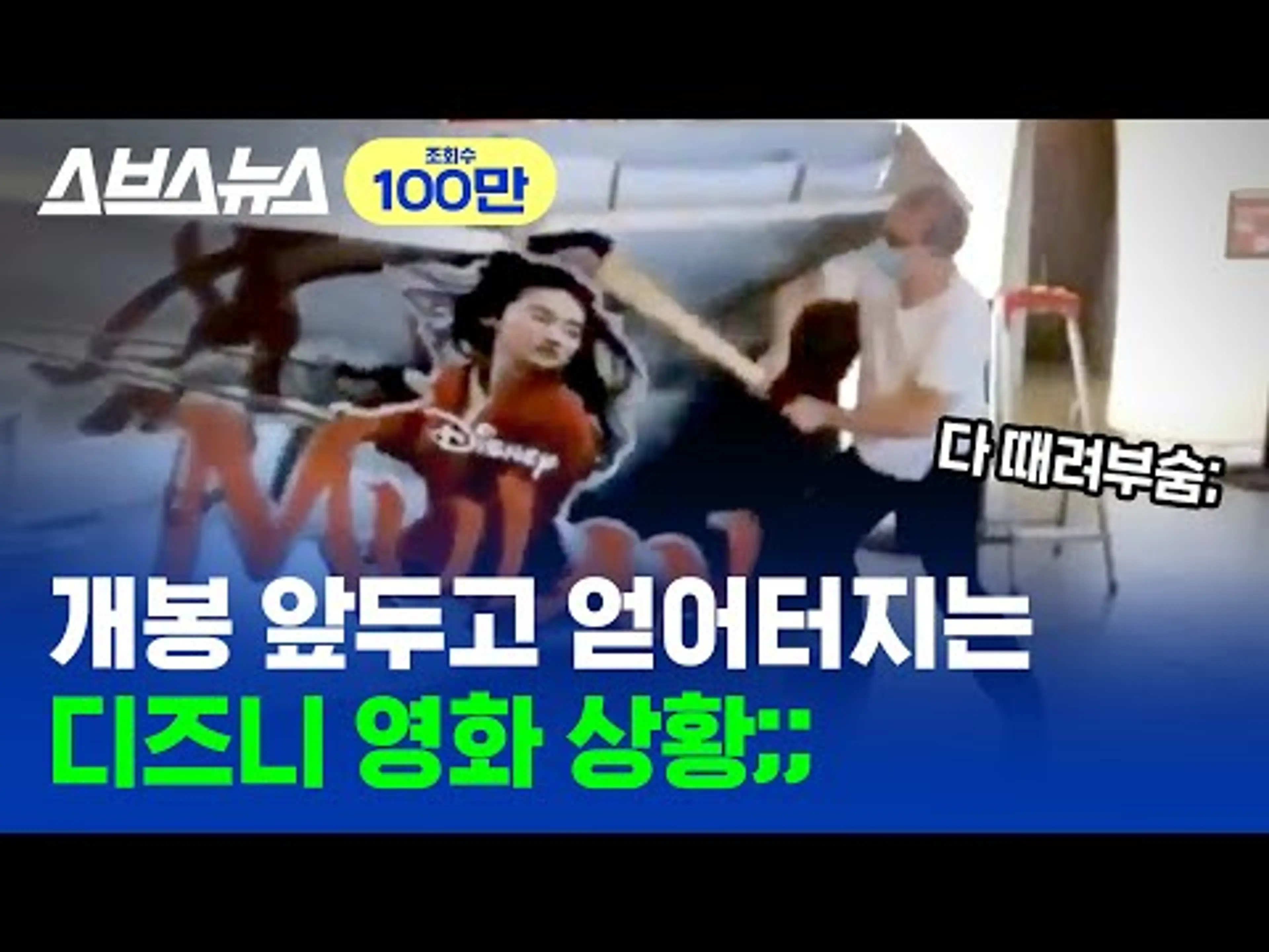 영화 '뮬란'이 왜 욕먹는지 국내 개봉 전 총정리 해드림/스브스뉴스