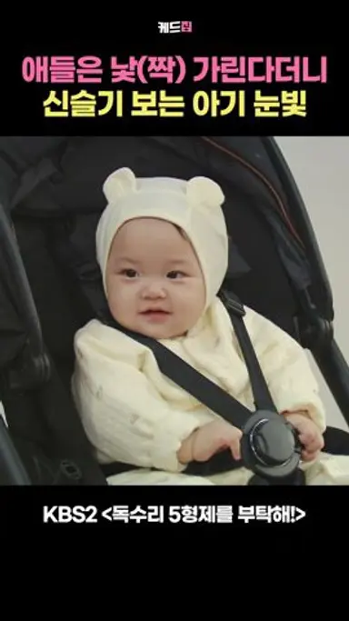 애들은 낯(짝) 가린다더니…신슬기 보는 아기 눈빛 #독수리5형제를부탁해 #엄지원 #안재욱 #최대철 #김동완 #윤박 #이석기 #쇼츠 #shorts 다시보기 쇼츠