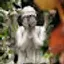 @WeepingAngels