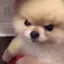 @llilliililii