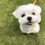 @추적60인분-w2x