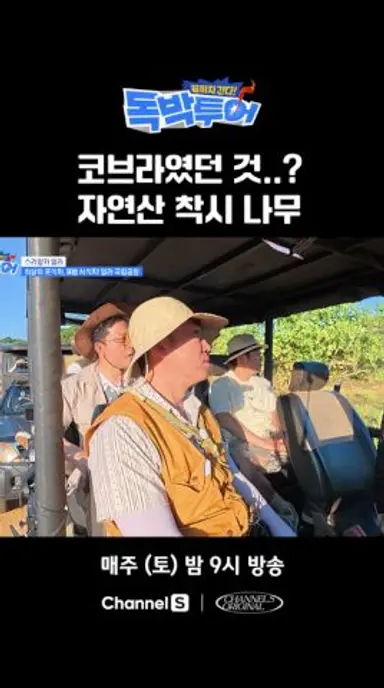 자연이 우릴 속임.. #끝까지간다독박투어 #채널S 다시보기 쇼츠