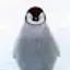 @솜브라패스햄복한