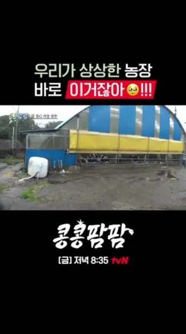 💩 치우기 2시간 만에 힐링 타임🥹🤍 #콩콩팜팜 EP.1 다시보기 쇼츠