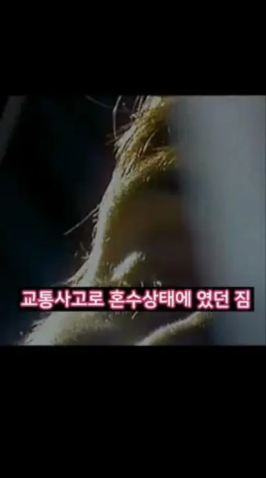 좀비 영화 원조~~!!  28일 후 결말 포함 리뷰 다시보기 쇼츠