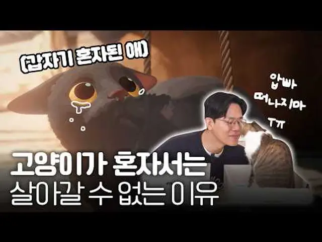 대문자T 수의사도 울린 고양이 영화 ‘플로우’ 리뷰