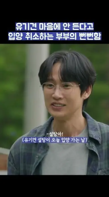 유기견 마음에 안 든다고 입양 취소하는 부부의 뻔뻔함 #shorts 다시보기 쇼츠