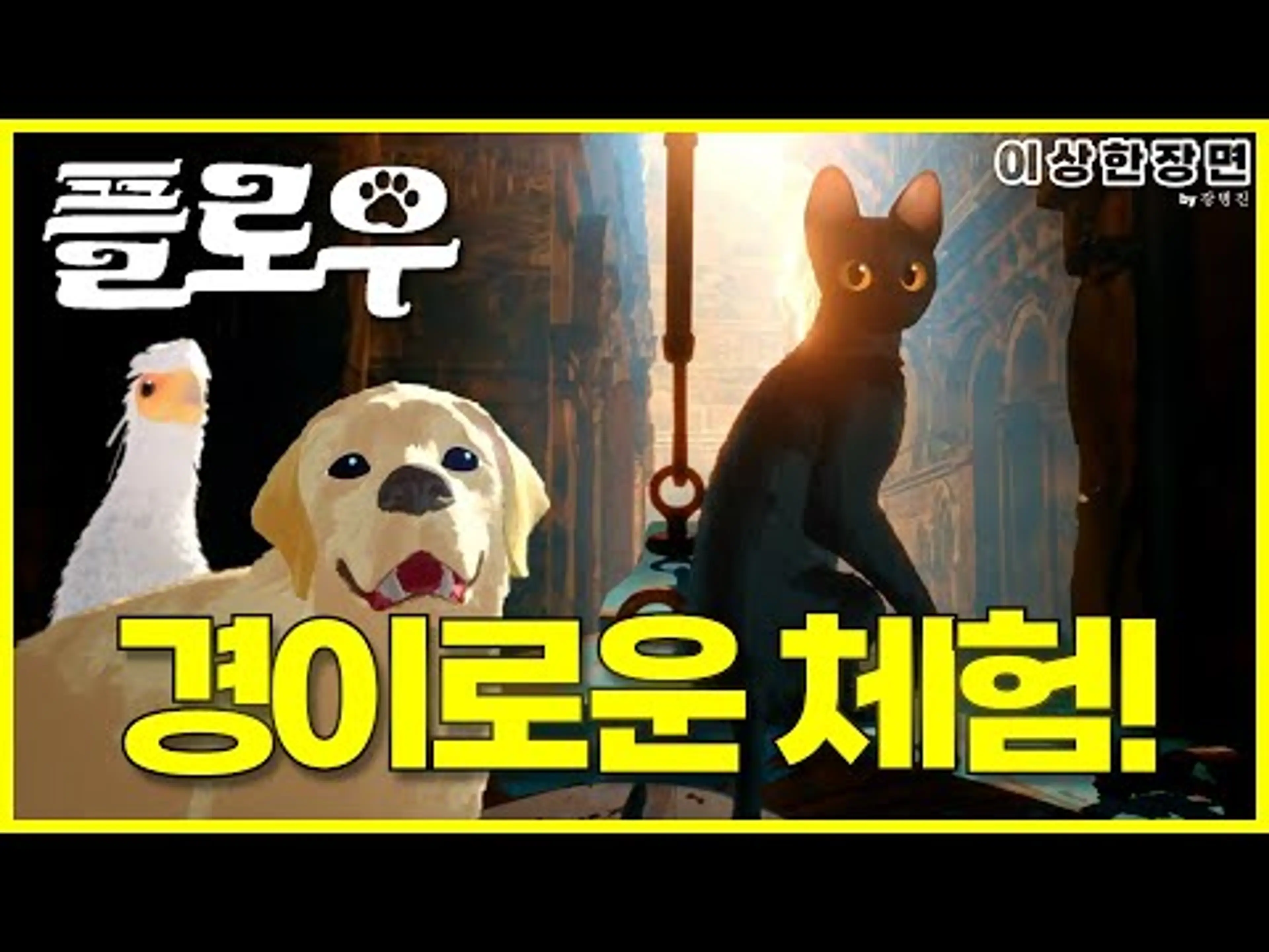 《플로우》 후기 | 고양이 바로 옆에서 체험하는 종말과 생명의 경이로움! | 보고 온 장면